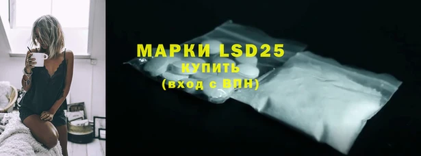 шишки Дмитров