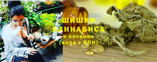 шишки Дмитров
