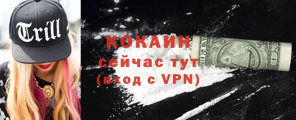 шишки Дмитров