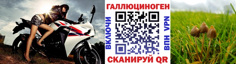 Галлюциногенные грибы прущие грибы Северобайкальск