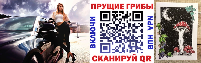Купить Северобайкальск Псилоцибиновые грибы прущие грибы